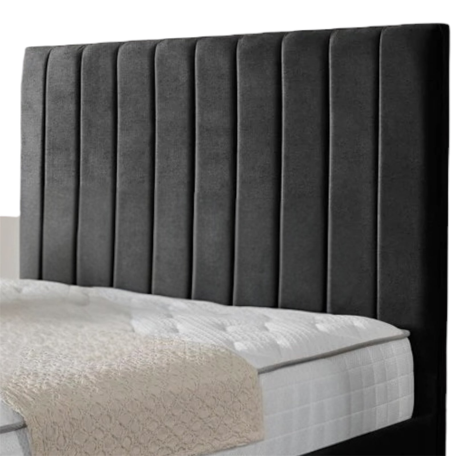 Lisbon Plush Velvet Upholstered Bed